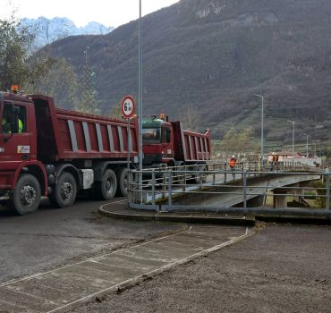 Desma_sellerio_251204 (1)