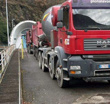 Desma_sellerio_251204 (4)