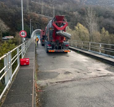 Desma_sellerio_251204 (6)